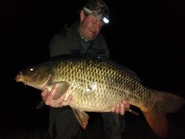 12.08.2019, od: Jiří Lehocký (Kapr - 12,4 kg, 82 cm)